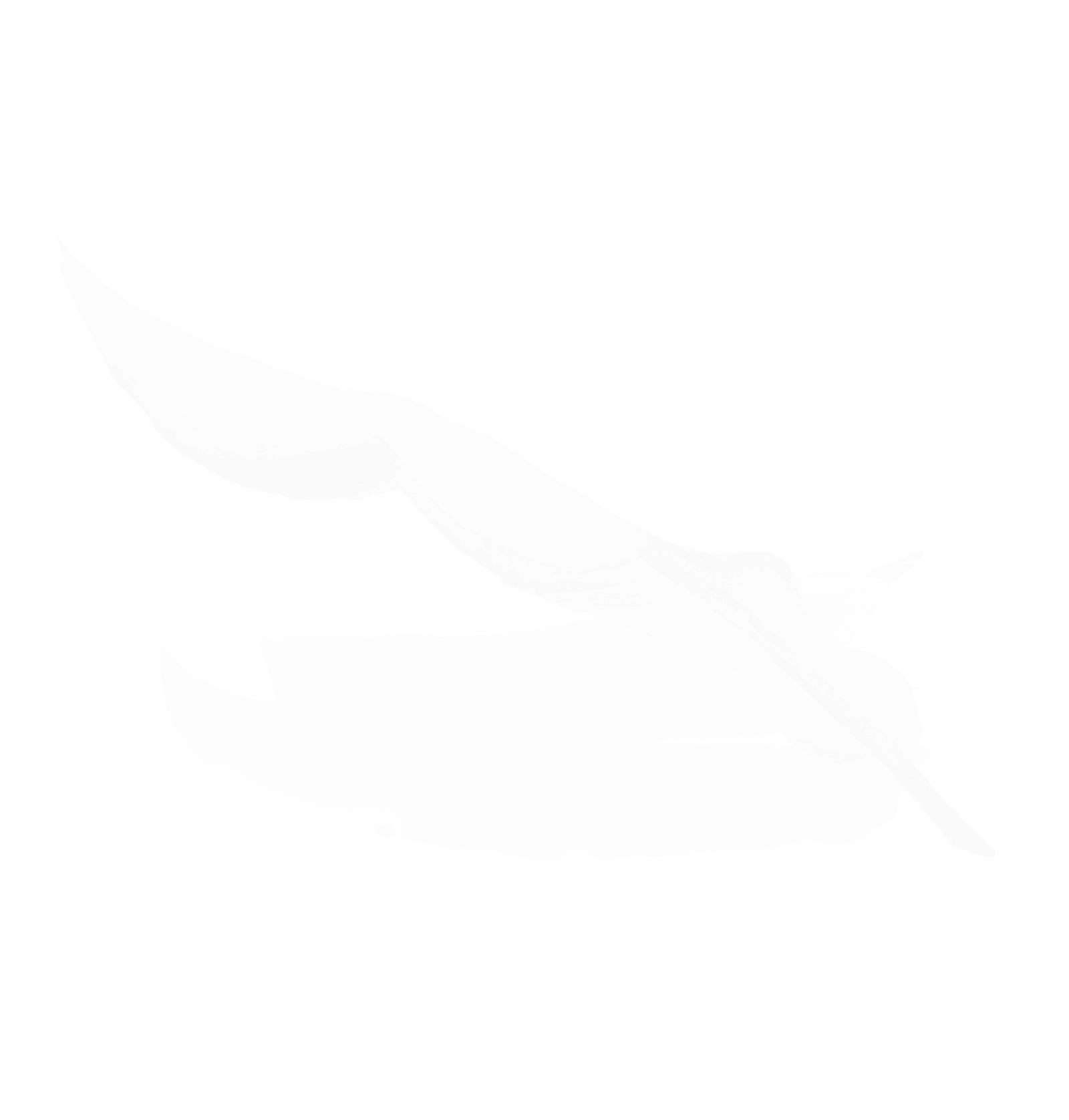 Wielki zielony liść